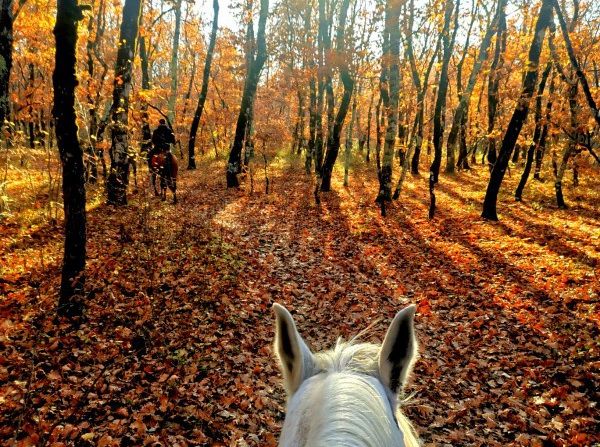 Riding holiday in Herzegovina