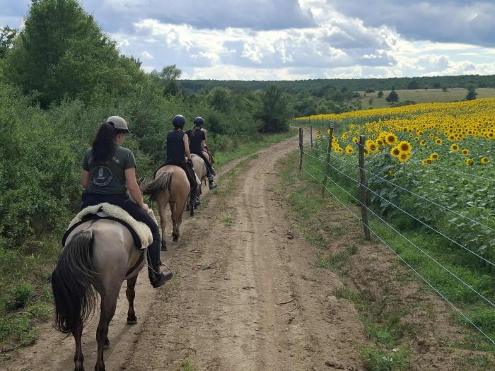 Two-country karst trail