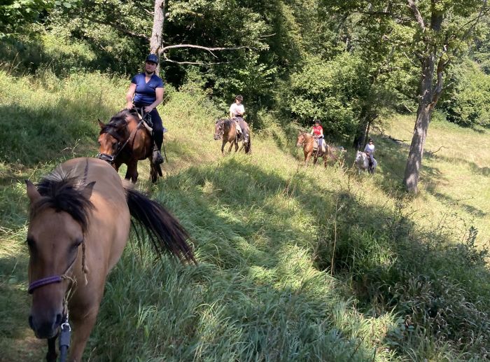 Two-country karst trail