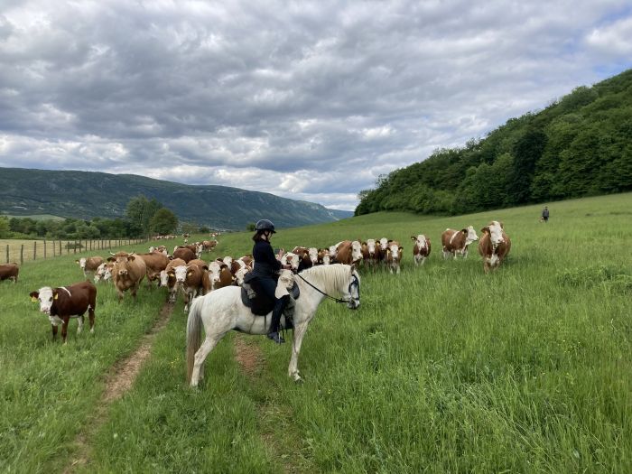 Two-country karst trail