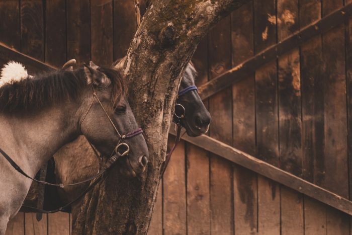Two-country karst trail