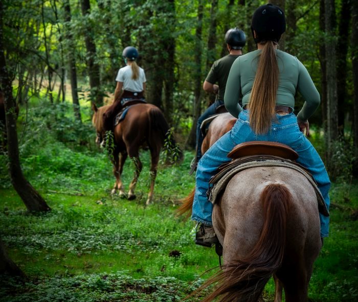 Western riding in Hungary