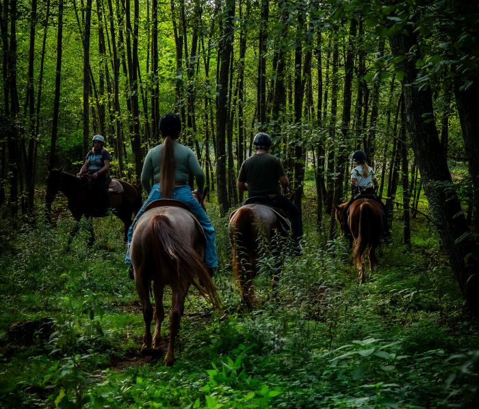 Western riding in Hungary