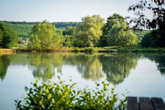 Western riding in Hungary