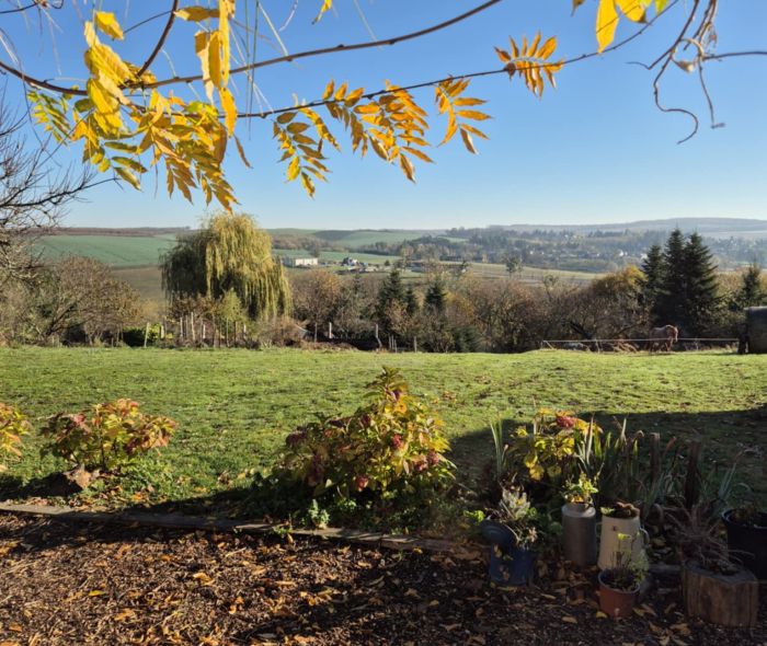 Western riding in Hungary