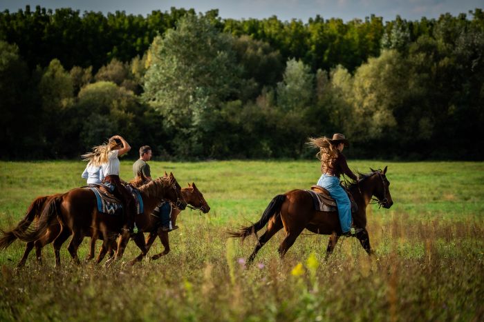 Western riding in Hungary