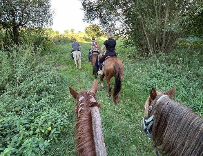 Western riding in Hungary