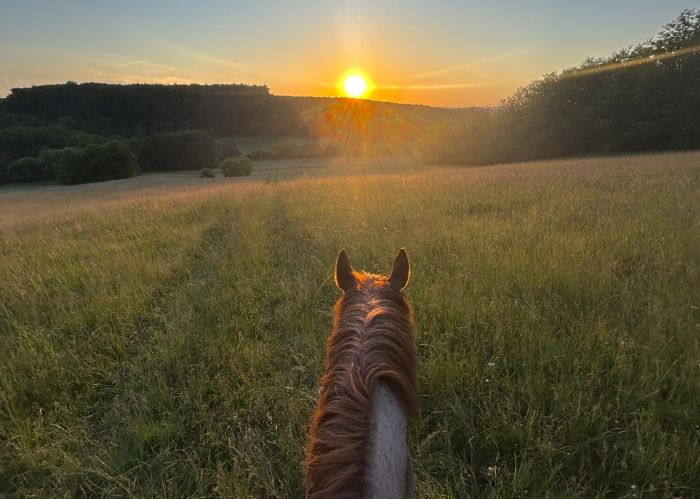 Western riding in Hungary