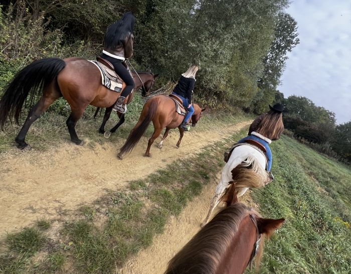 Western riding in Hungary