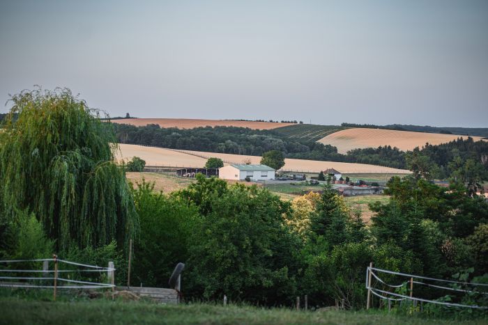 Western riding in Hungary
