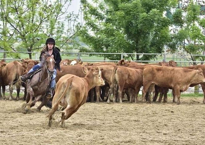 Western riding in Hungary