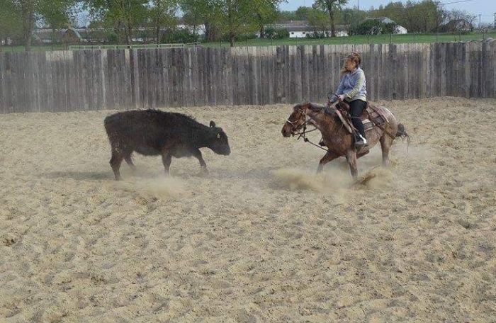 Western riding in Hungary