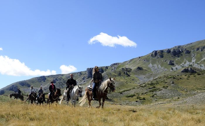On the trail of the Miyak