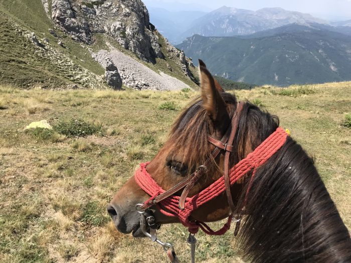 On the trail of the Miyak