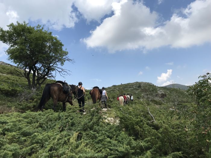 On the trail of the Miyak