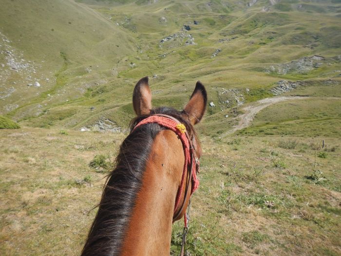 On the trail of the Miyak