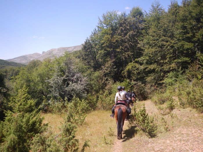 On the trail of the Miyak