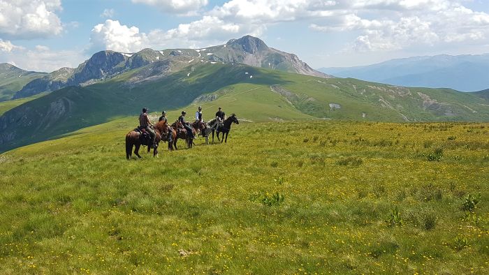 On the trail of the Miyak