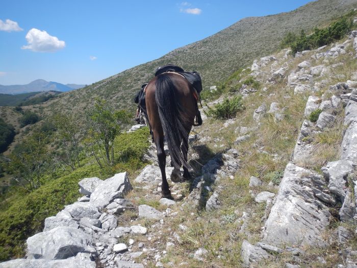 On the trail of the Miyak