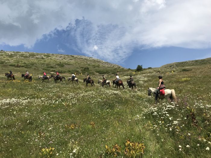 On the trail of the Miyak