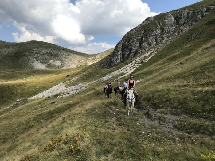 On the trail of the Miyak