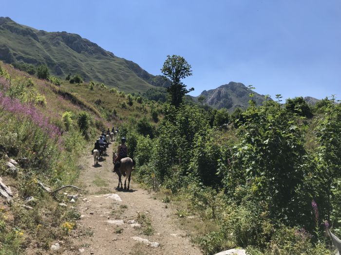On the trail of the Miyak