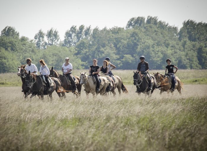 Star rides through the Hungarian steppe (7/5 days)