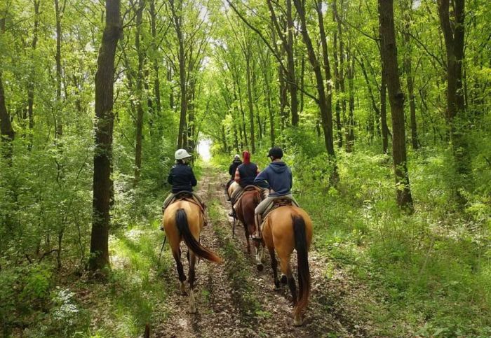 Star rides through the Hungarian steppe (7/5 days)