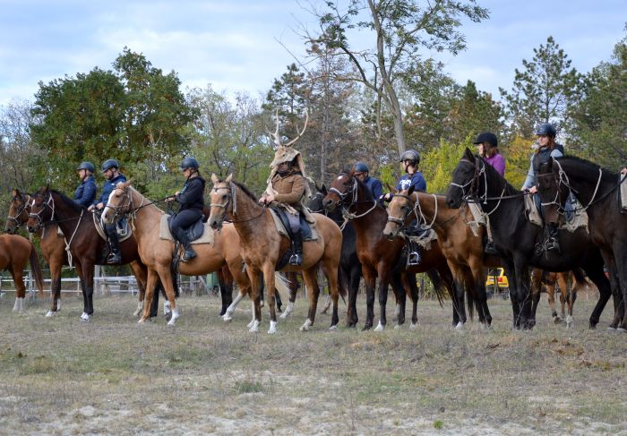 Star rides through the Hungarian steppe (7/5 days)
