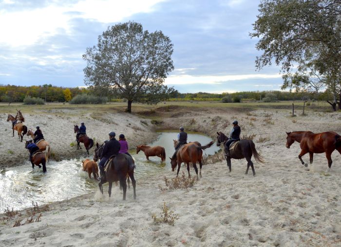 Star rides through the Hungarian steppe (7/5 days)
