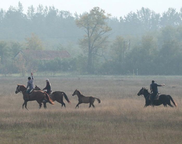 Star rides through the Hungarian steppe (7/5 days)