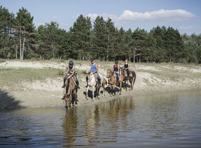 Star rides through the Hungarian steppe (7/5 days)