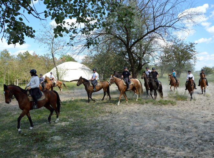 Star rides through the Hungarian steppe (7/5 days)