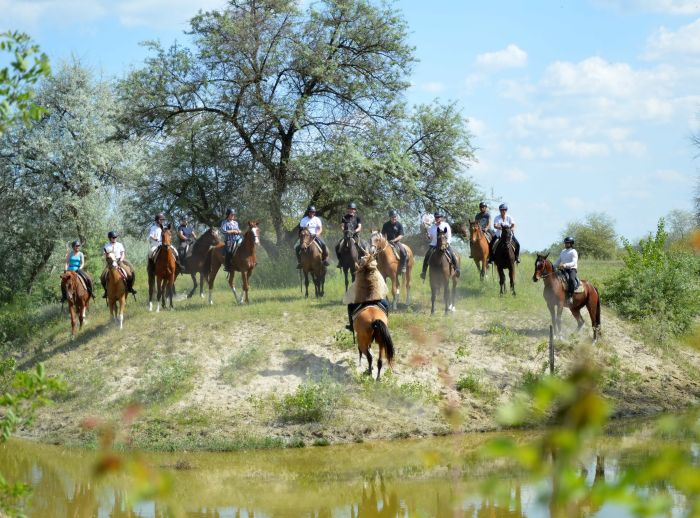 Star rides through the Hungarian steppe (7/5 days)