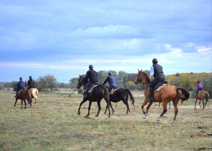 Star rides through the Hungarian steppe (7/5 days)