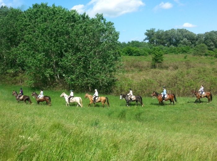 Star rides through the Hungarian steppe (7/5 days)