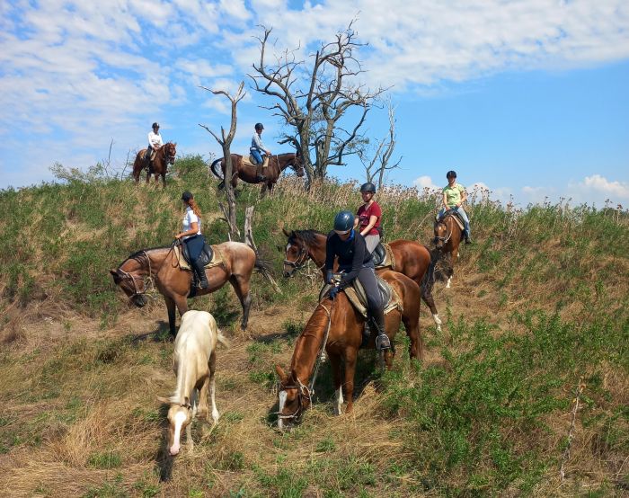 Star rides through the Hungarian steppe (7/5 days)