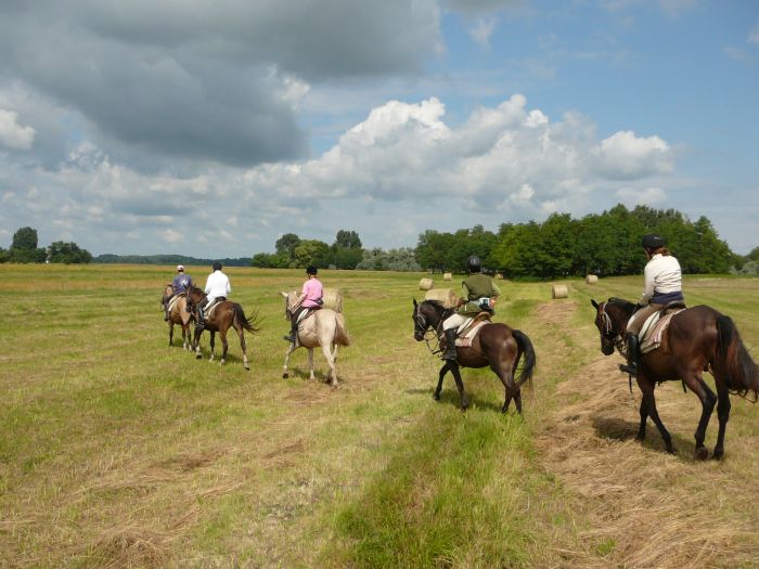 Star rides through the Hungarian steppe (7/5 days)
