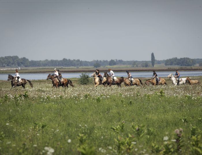 Star rides through the Hungarian steppe (7/5 days)