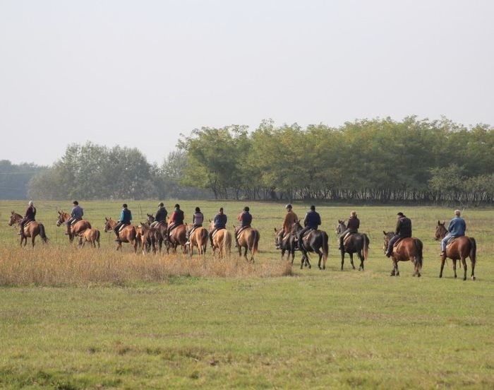 Star rides through the Hungarian steppe (7/5 days)