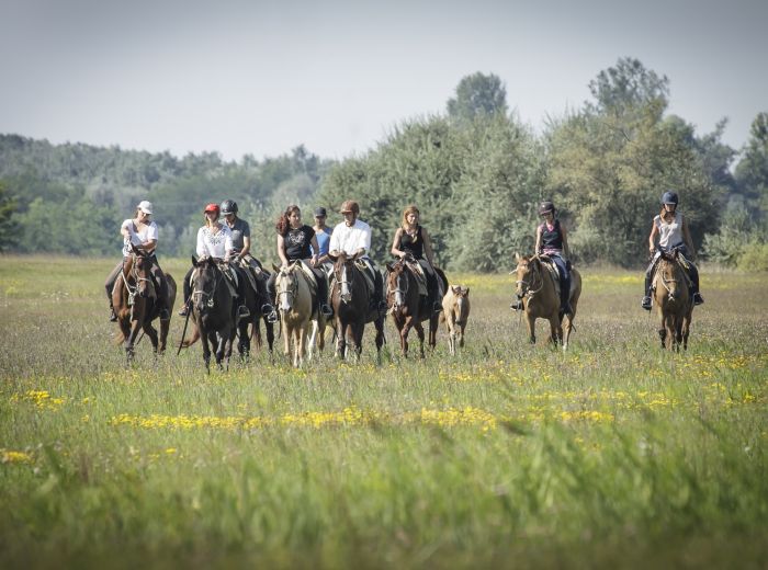 Star rides through the Hungarian steppe (7/5 days)