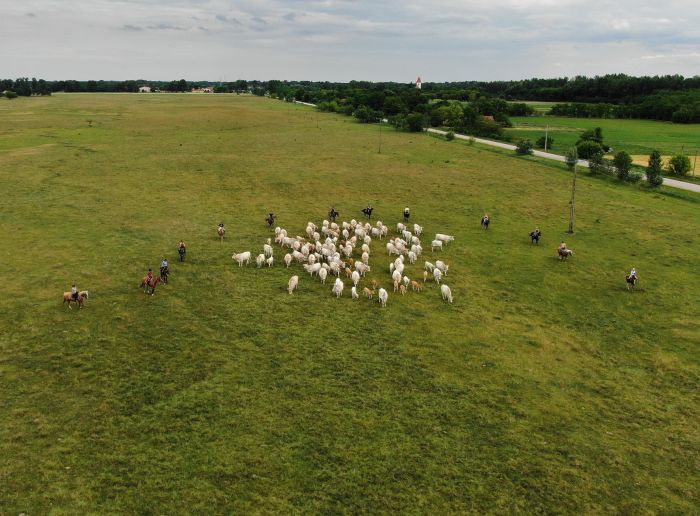 Star rides through the Hungarian steppe (7/5 days)