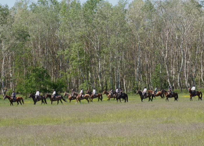 Star rides through the Hungarian steppe (7/5 days)
