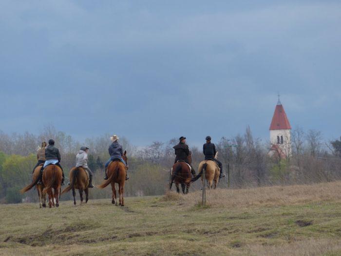 Star rides through the Hungarian steppe (7/5 days)