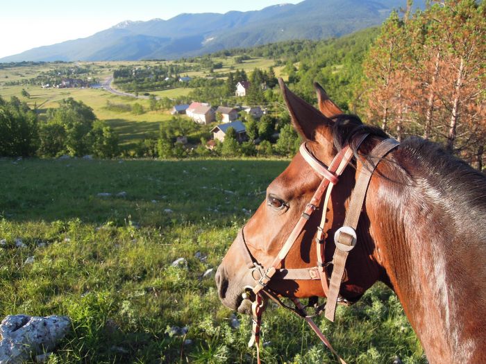 Star rides in the Plitvice region