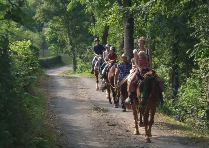 Star rides in the Plitvice region