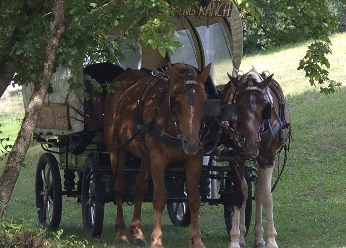 Star rides in the Plitvice region