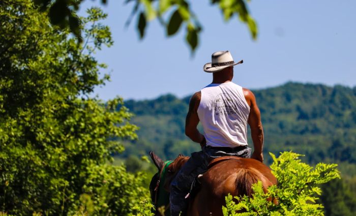 Star rides in the Plitvice region