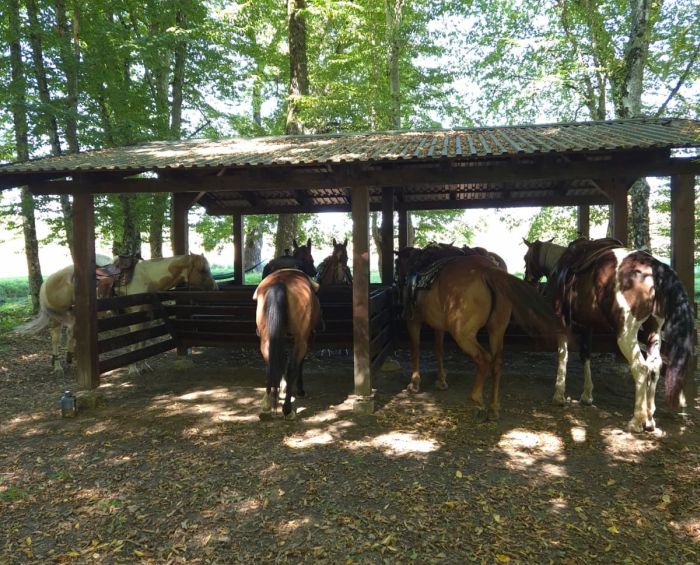 Star rides in the Plitvice region