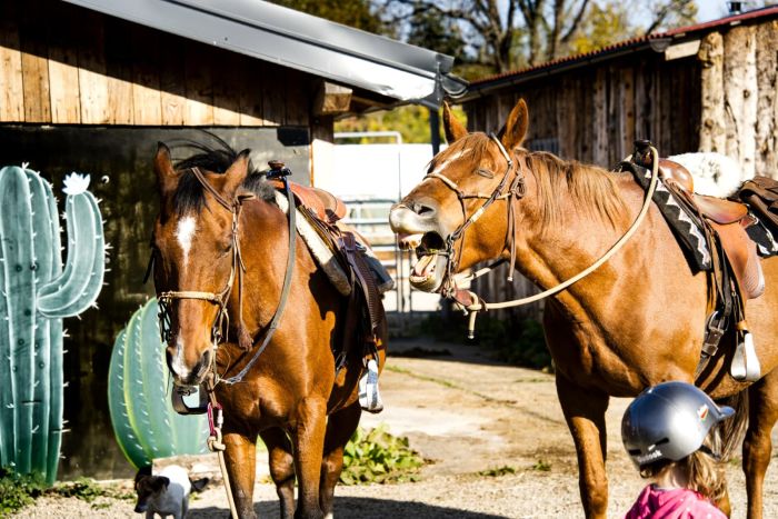 Star rides in the Plitvice region